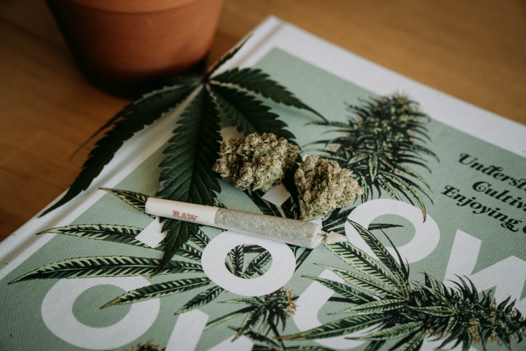 risques consommation cannabis : mythe ou réalité ?