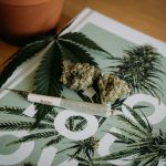 risques consommation cannabis : mythe ou réalité ?