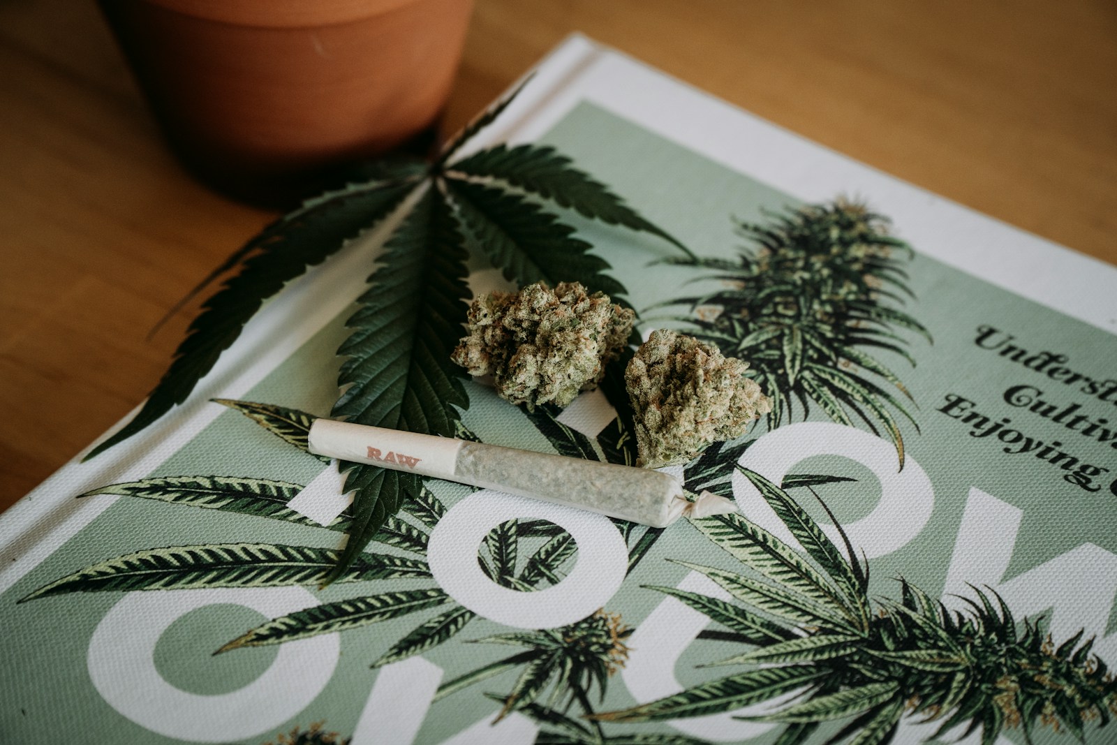 risques consommation cannabis : mythe ou réalité ?